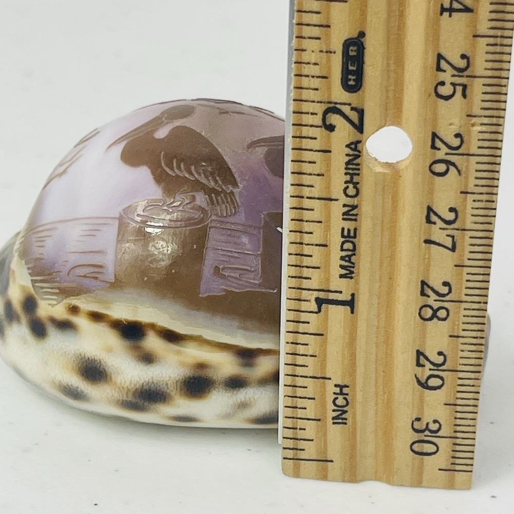 Vintage Seal Key Largo Souvenir Carved Tiger Cowrie Shell - Picture 4 of 12